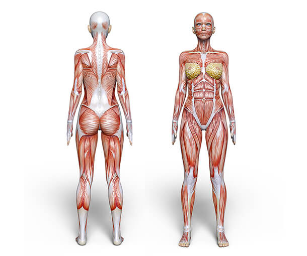 解剖学×整体の独自メソッド